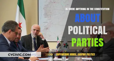 Political Parties: Are They Constitutional?