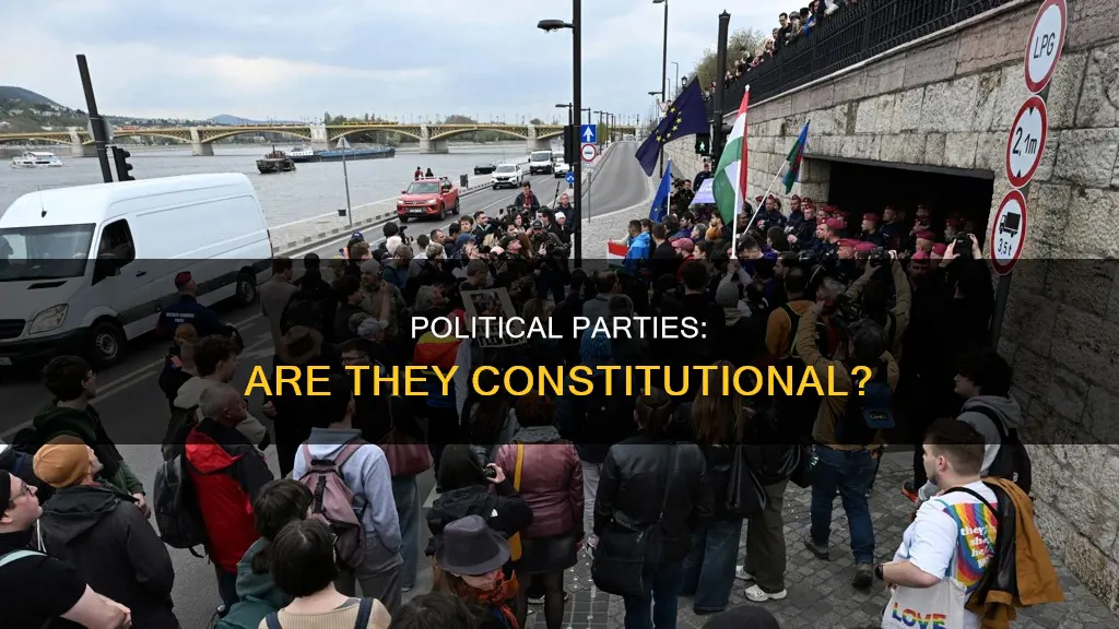 is there anything in the constitution about political parties