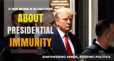 Presidential Immunity: What Does the Constitution Say?