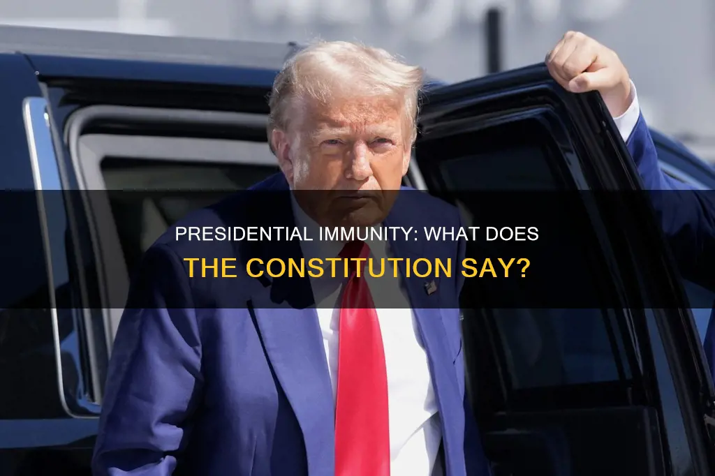 is there anything in the constitution about presidential immunity