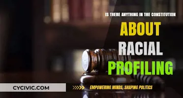 The Constitution and Racial Profiling: What's the Law?