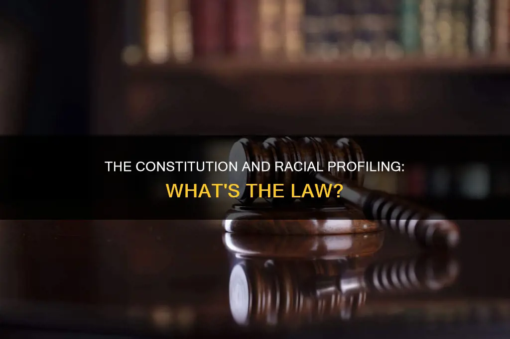 is there anything in the constitution about racial profiling