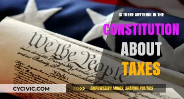 Constitutional Tax Provisions: What's the Deal?