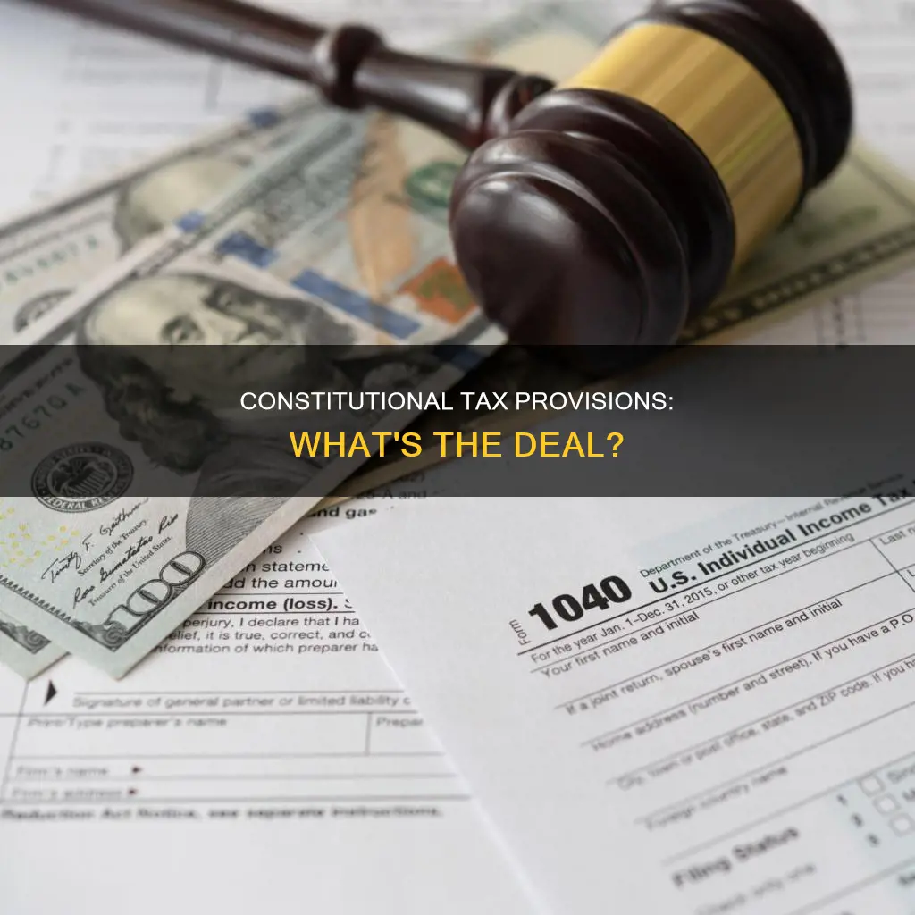 is there anything in the constitution about taxes