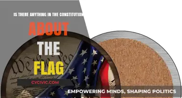 The Flag and the Constitution: What's the Connection?