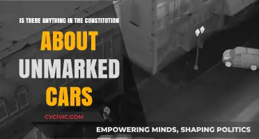 Unmarked Cars: What Does the Constitution Say?