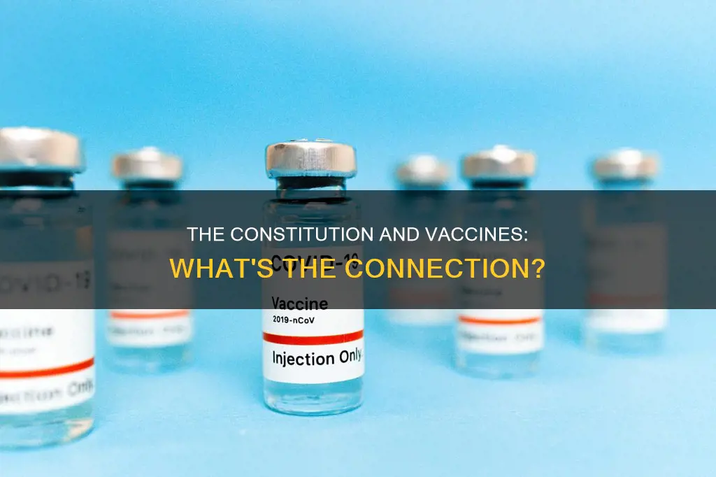 is there anything in the constitution about vaccines