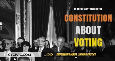 The Constitution and Voting: What's the Connection?