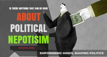 Breaking the Cycle: Combating Political Nepotism for Fair Governance