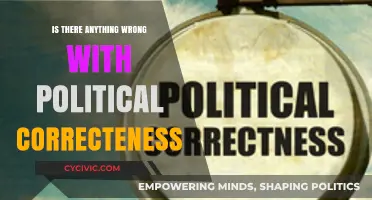 Navigating the Complexities of Political Correctness: A Critical Examination