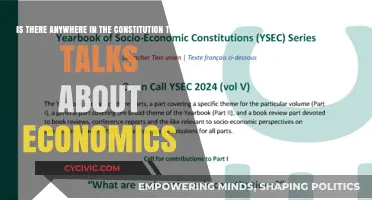 The Constitution's Economic Provisions: Exploring the Fundamentals