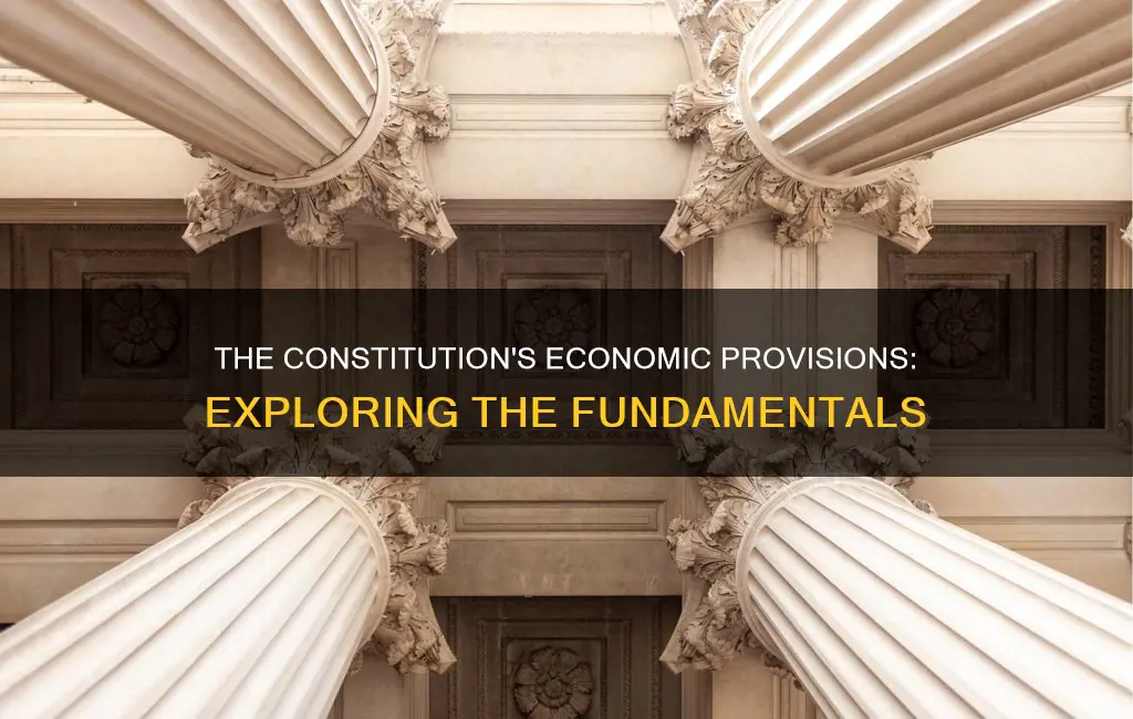 is there anywhere in the constitution that talks about economics
