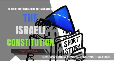 Mossad's Omission: Israel's Constitution Conundrum