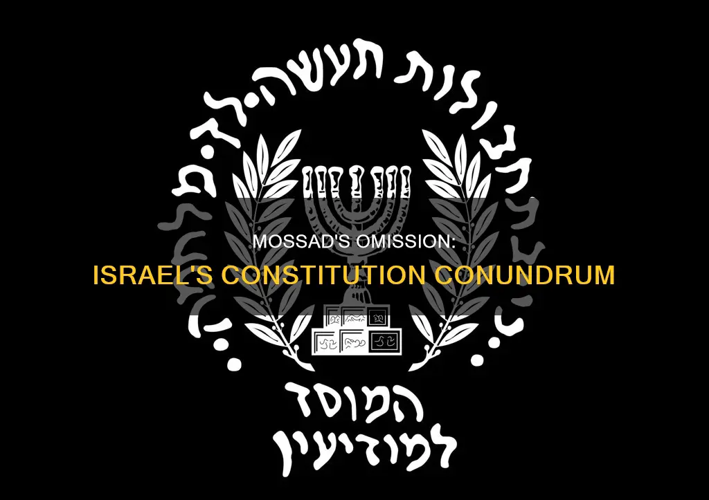 is there nothing about the mossad in the israeli constitution