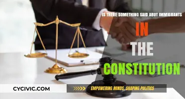 Immigrants' Rights: What Does the Constitution Say?
