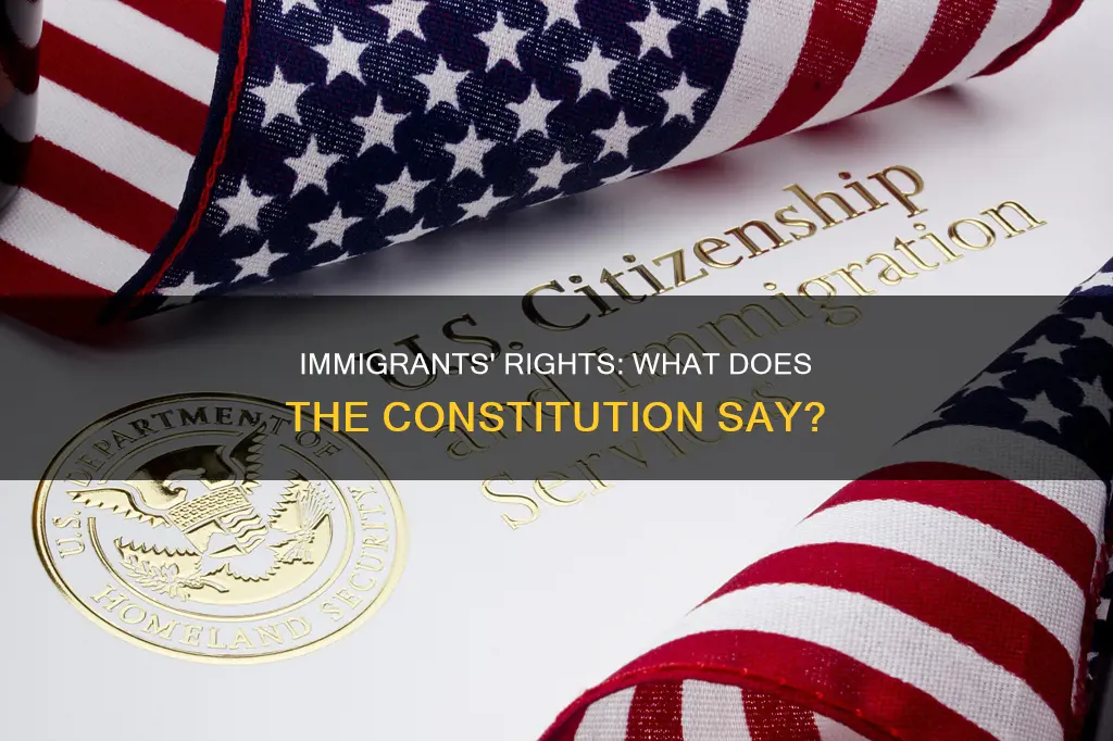 is there something said abut immigrants in the constitution