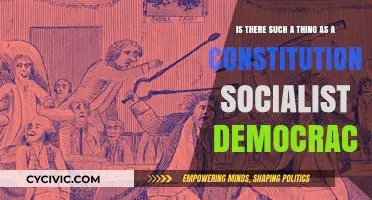 Socialism and Democracy: A Constitutional Match?