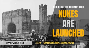 Diplomacy After Nuclear Launch: Is There Time?