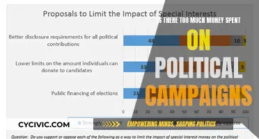 Political Campaigns: Money, Power, and Influence