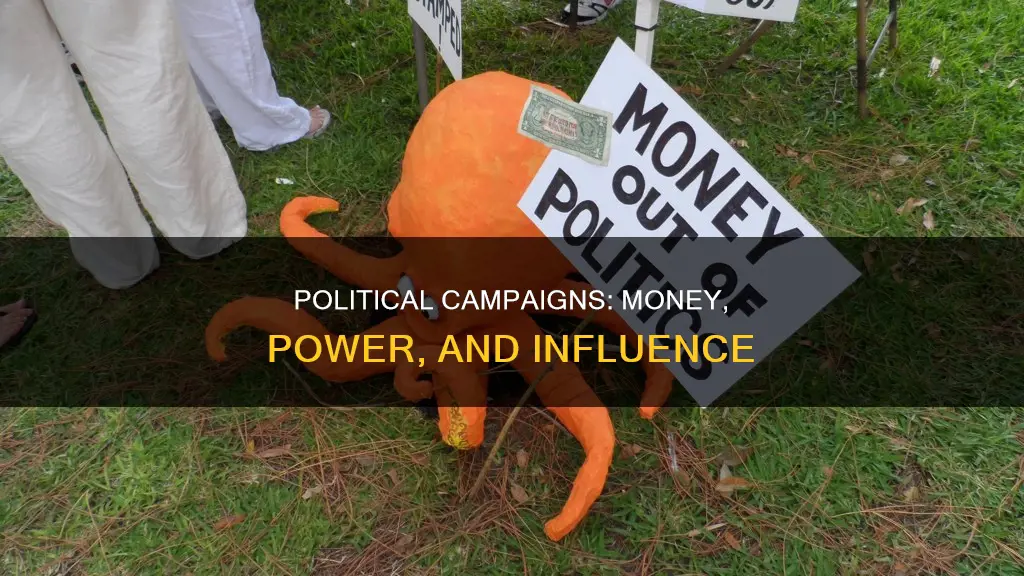 is there too much money spent on political campaigns