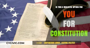 Exploring Constitutional Options: A Realistic Path Forward