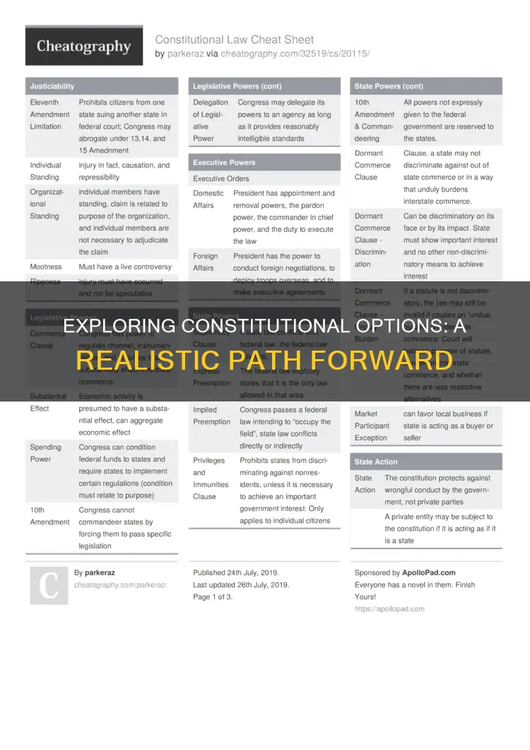 is this a realistic option for you for constitution