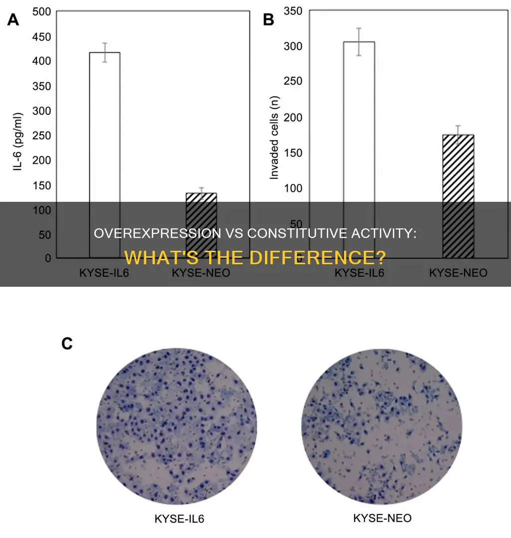 is this overexpressed her 2 constitutively active or just overexpressed