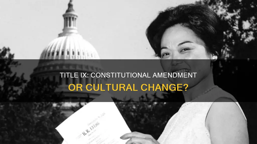 is title ix part of the constitution