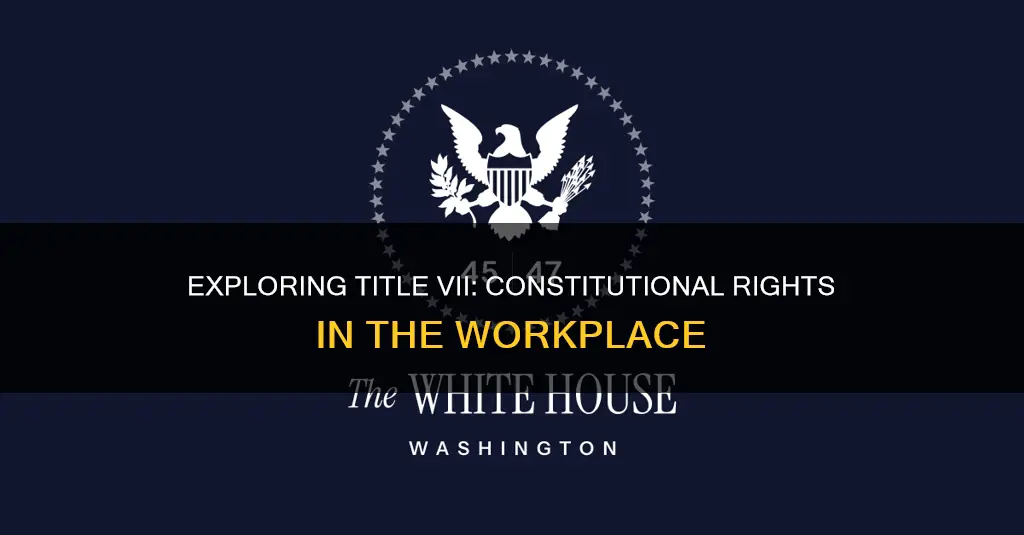is title seven a part of the us constitution