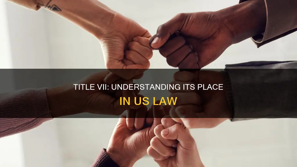 is title vii part of the constitution