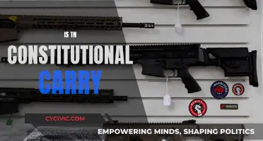 Tennessee's Constitutional Carry: What Does It Mean?