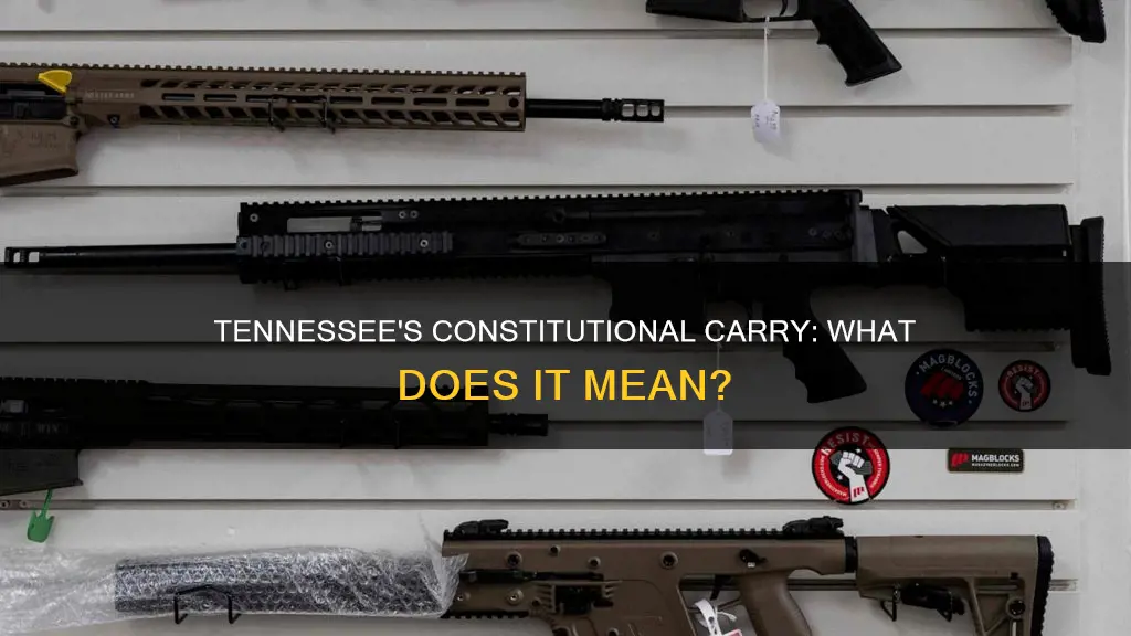 is tn constitutional carry