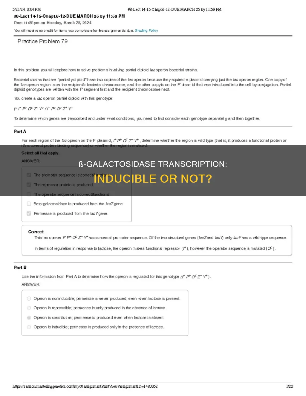 is transcription of ß-galactosidase inducible constitutive or noninducible