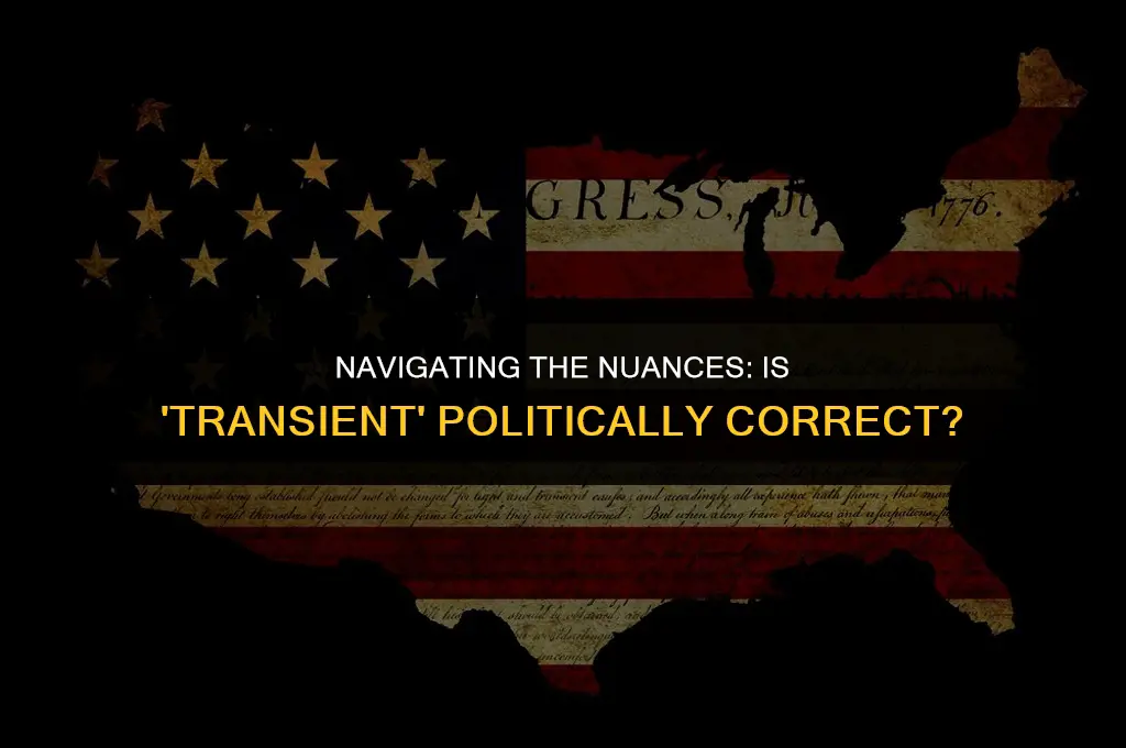 is transient politically correct