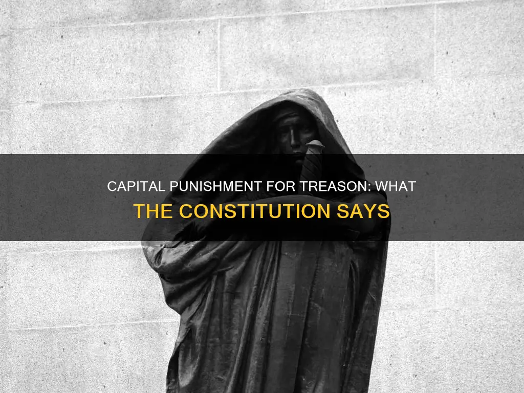is treason punishable by death in the constitution