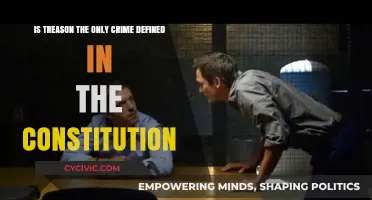 Treason: The Constitution's Solely Defined Crime