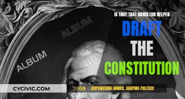 Hamilton's Role in Drafting the US Constitution