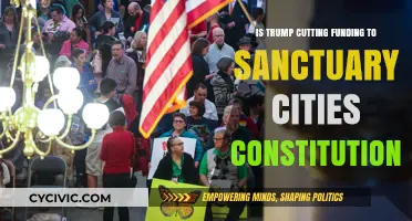 Trump's Sanctuary City Funding Cuts: Unconstitutional?