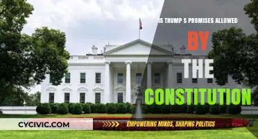 Trump's Promises: Constitutional or Not?