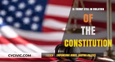Trump's Constitutional Violations: An Ongoing Concern?
