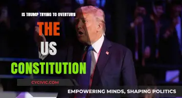 Trump's Subversion: Is He Undermining America's Constitution?