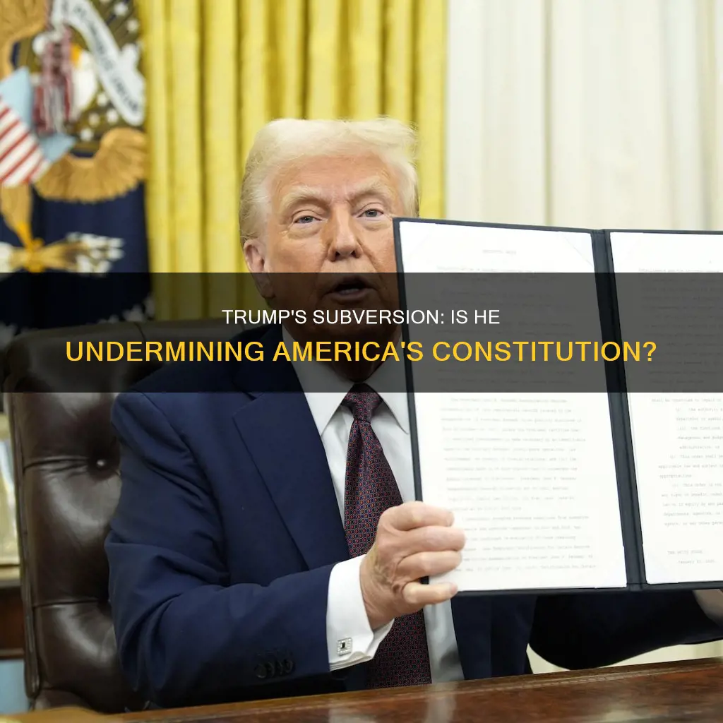 is trump trying to overturn the us constitution