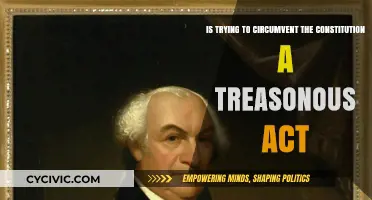 Circumventing the Constitution: Treason or Not?