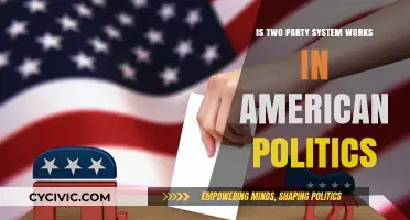 Does America's Two-Party System Still Serve Democracy Effectively?