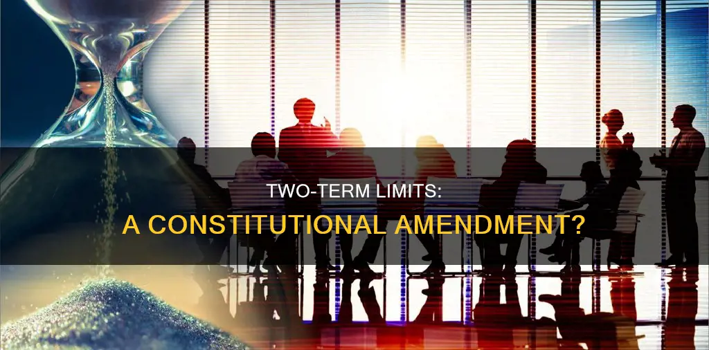 is two terms a constitutional amendment