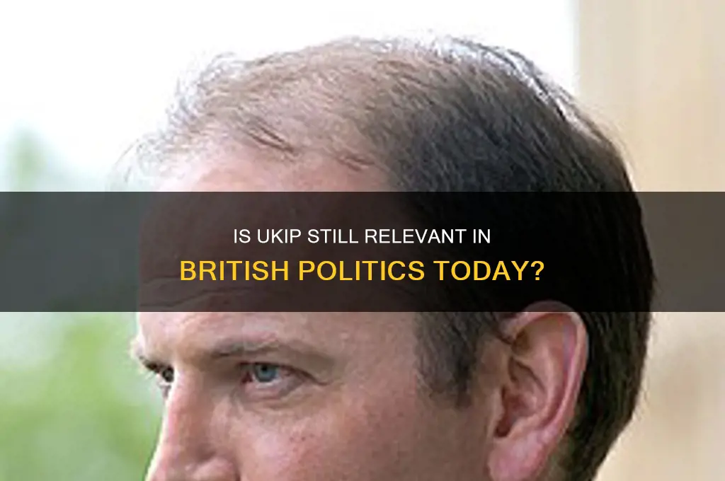 is ukip still a political party
