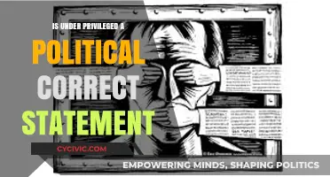 Rethinking Privilege: The Evolution of Political Correctness in Language