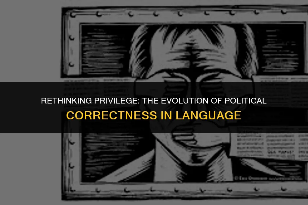 is under privileged a political correct statement
