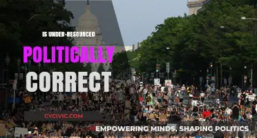 Navigating the Complexities of Political Correctness in Under-Resourced Settings