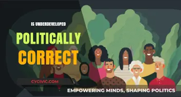 Exploring the Nuances of Political Correctness in Underdeveloped Contexts